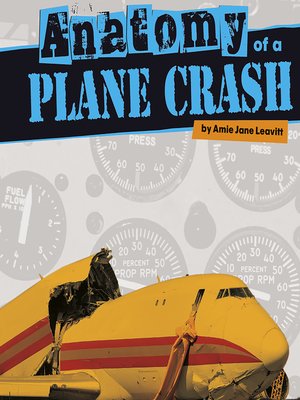 cover image of Anatomy of a Plane Crash